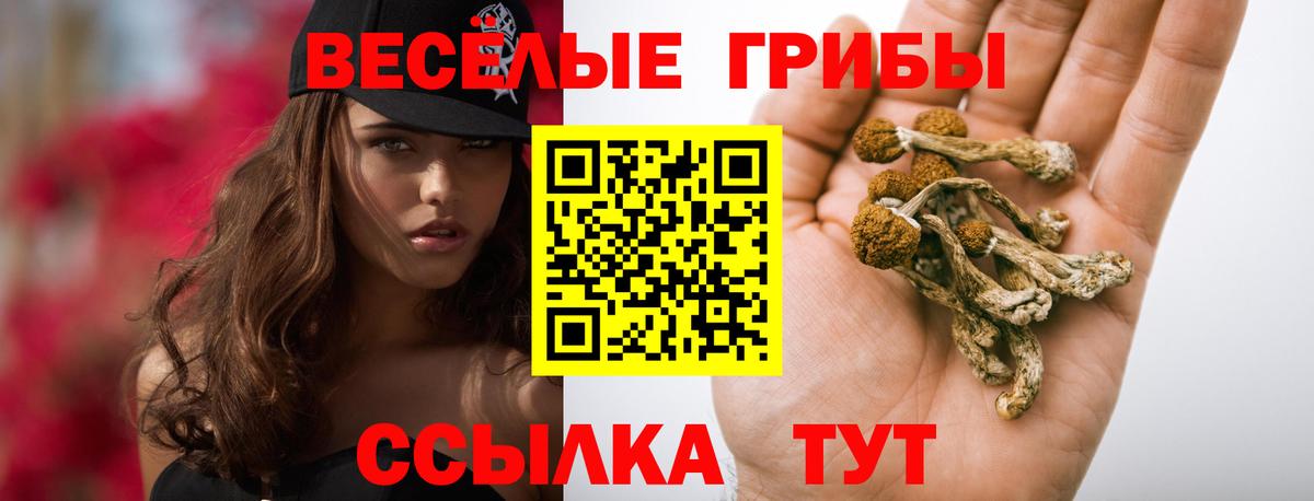 Партизанск  Галлюциногенные грибы Psilocybe  Галлюциногенные грибы прущие грибы  Вход с VPN 